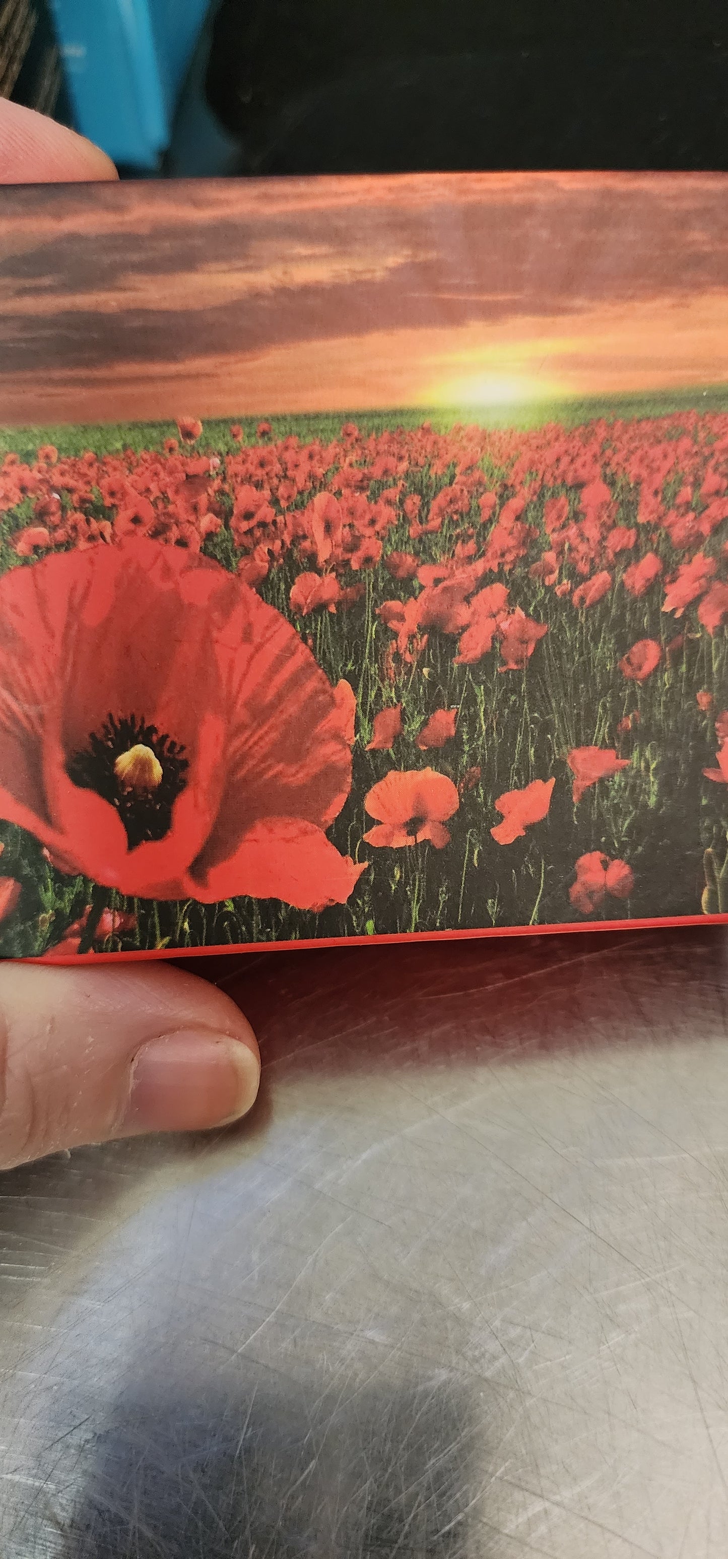 Black Austrian Crystal and Enameled Poppy Flower Necklace 20 Inches in Silvertone